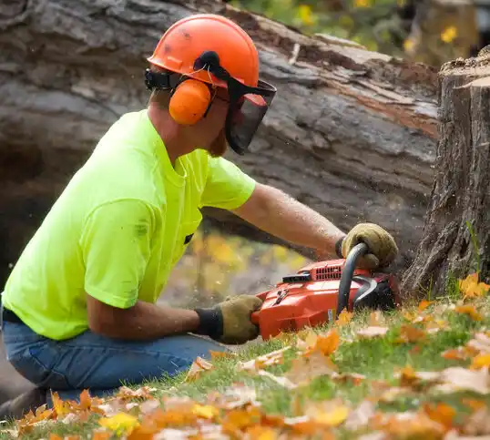 tree services Glen Alpine